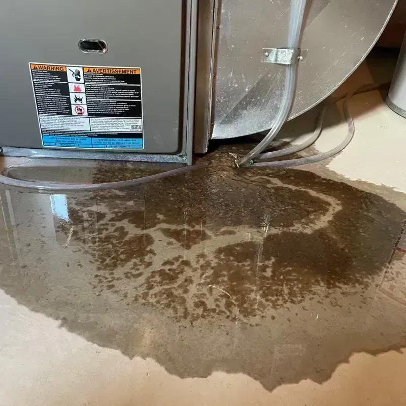 Appliance Leak Cleanup in East Dubuque, IL